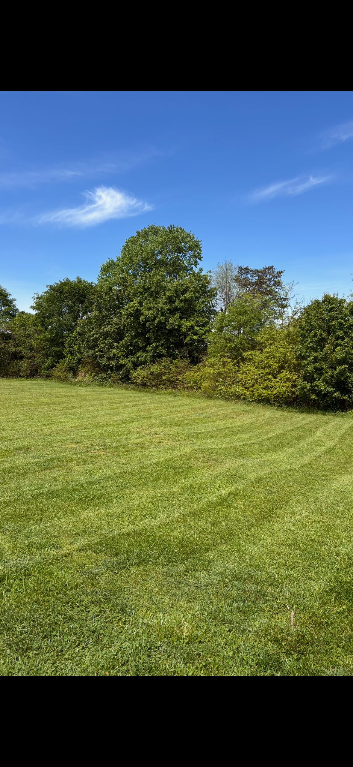 Landscaping project